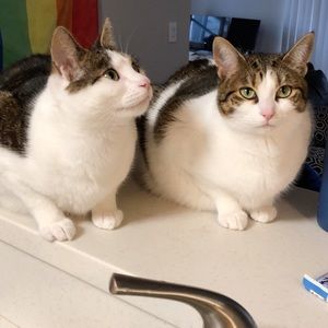 Meet your Posher, Aaron